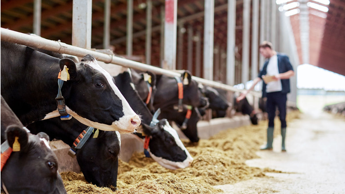farm certification programs George Saperstein, DVM azuluna foods premium pasture raised ready to eat meal delivery service