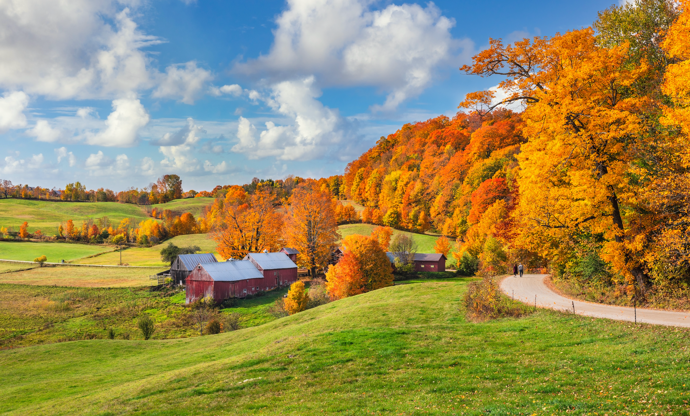 Save the Leaf Litter for the Critters!