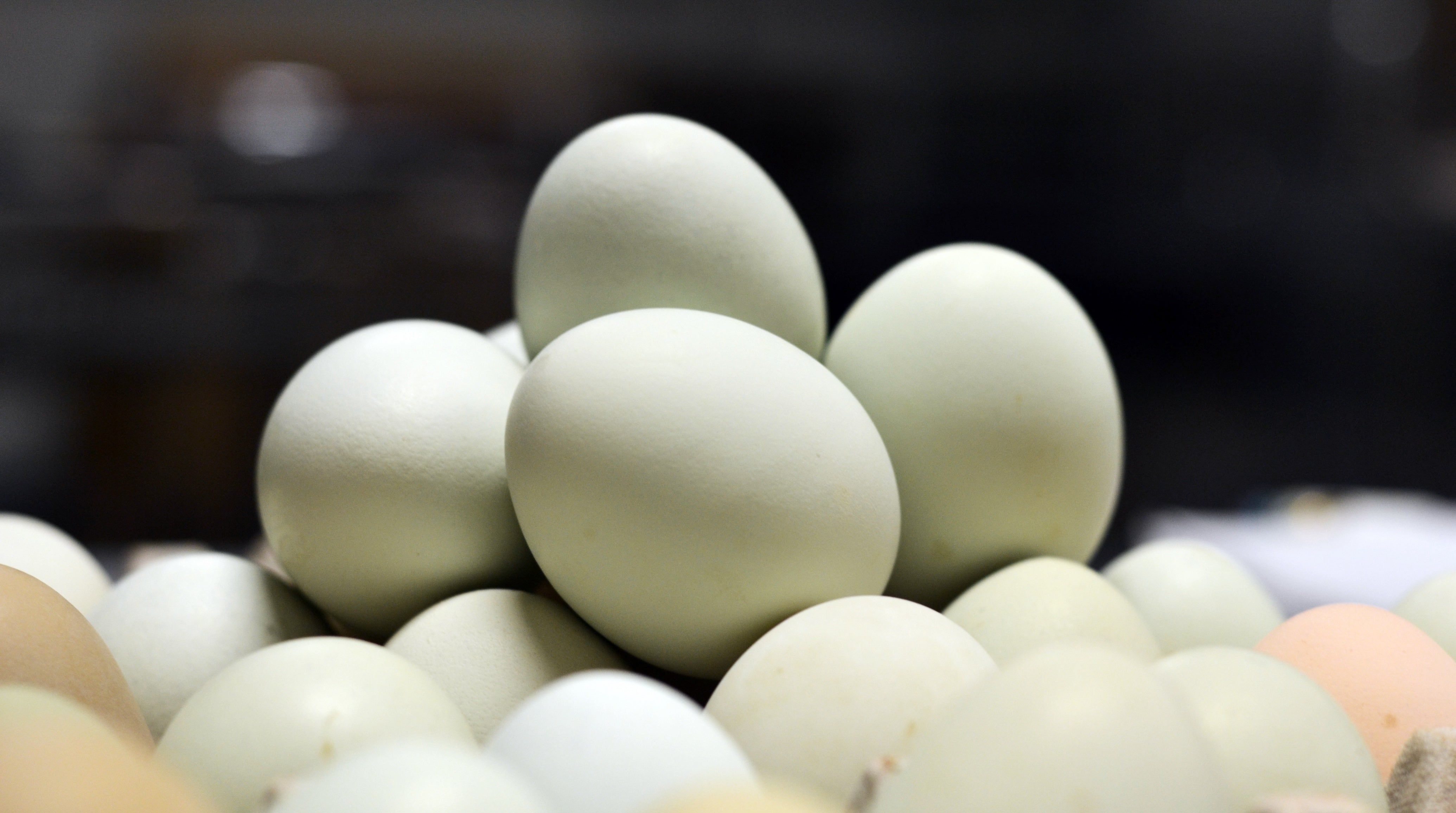 Wholesale Eggs