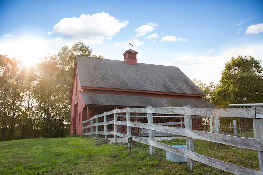 azuluna foods barn woodstock sustainable farms