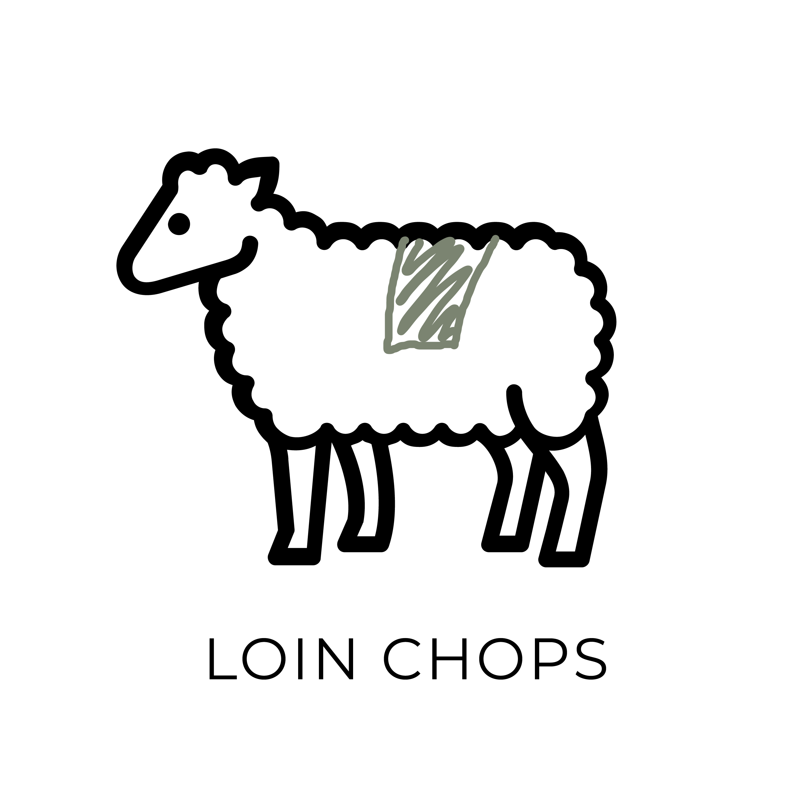 azuluna foods premium pasture raised lamb loin chops