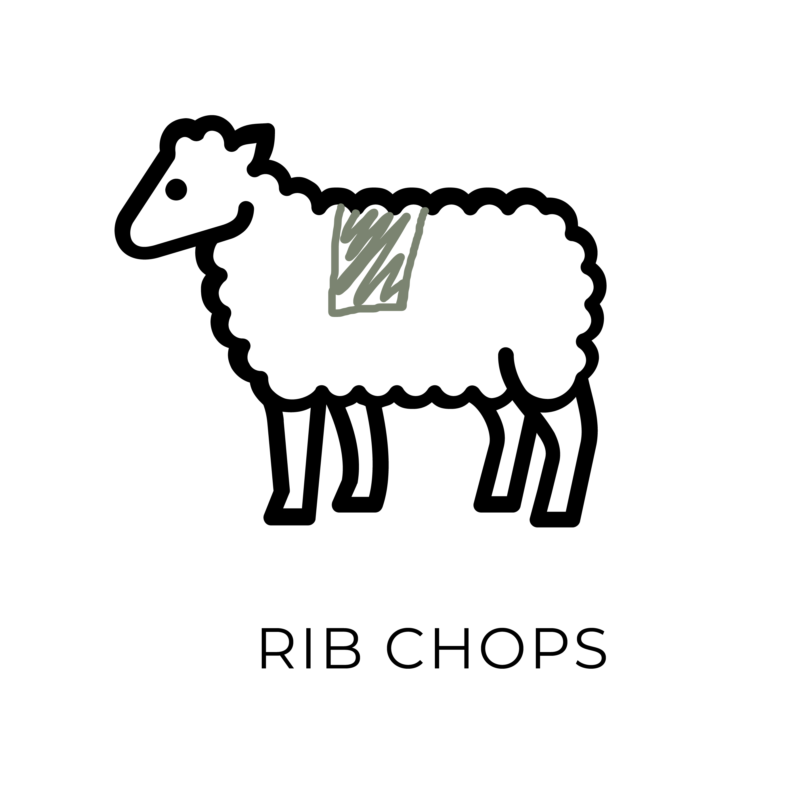 azuluna foods premium pasture raised lamb rib chops