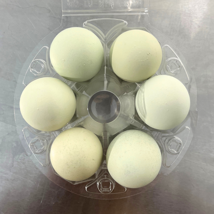 azuluna foods Eggs, Large - Grade A (Blue & Brown)